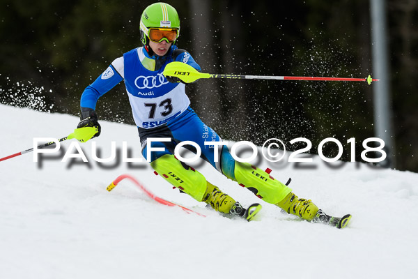 Bayerische Schülermeisterschaft Slalom 28.01.2018