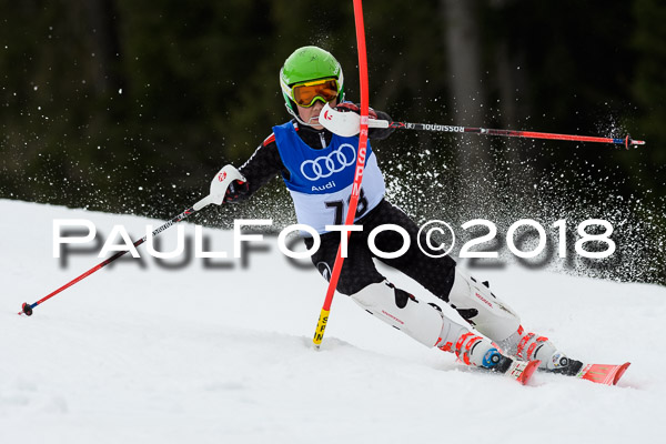 Bayerische Schülermeisterschaft Slalom 28.01.2018