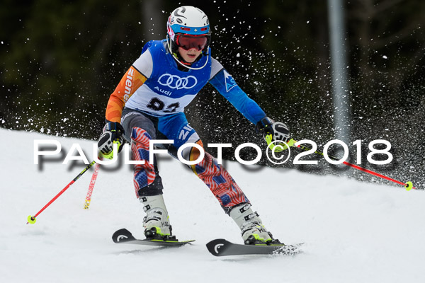 Bayerische Schülermeisterschaft Slalom 28.01.2018