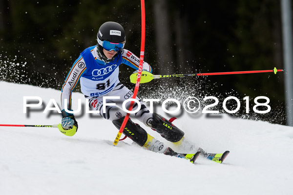 Bayerische Schülermeisterschaft Slalom 28.01.2018