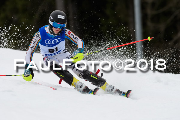 Bayerische Schülermeisterschaft Slalom 28.01.2018