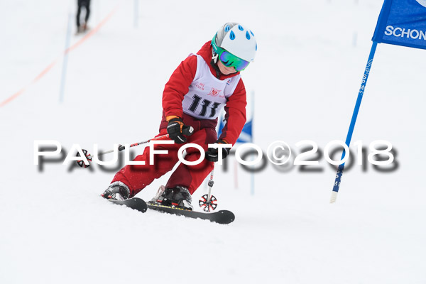 Schongauer Zwergerlrennen 28.01.2018