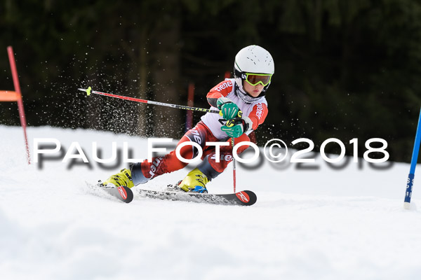 Schongauer Zwergerlrennen 28.01.2018