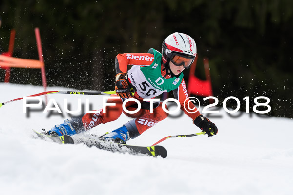 Schongauer Zwergerlrennen 28.01.2018