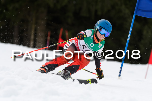 Schongauer Zwergerlrennen 28.01.2018