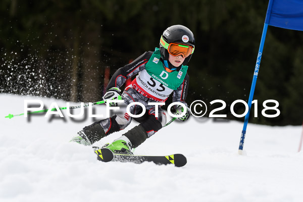 Schongauer Zwergerlrennen 28.01.2018