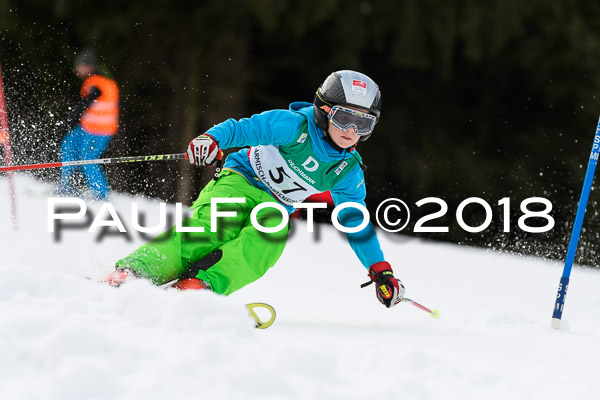 Schongauer Zwergerlrennen 28.01.2018