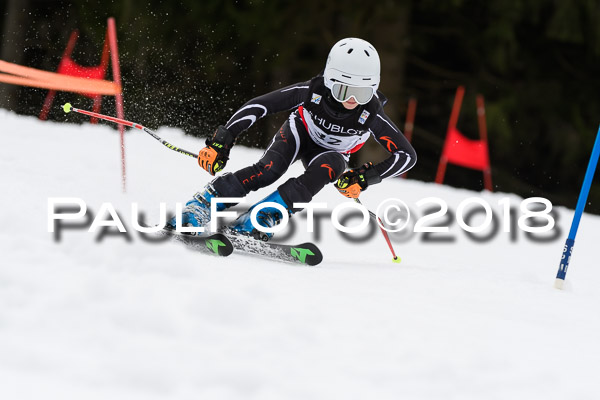 Schongauer Zwergerlrennen 28.01.2018