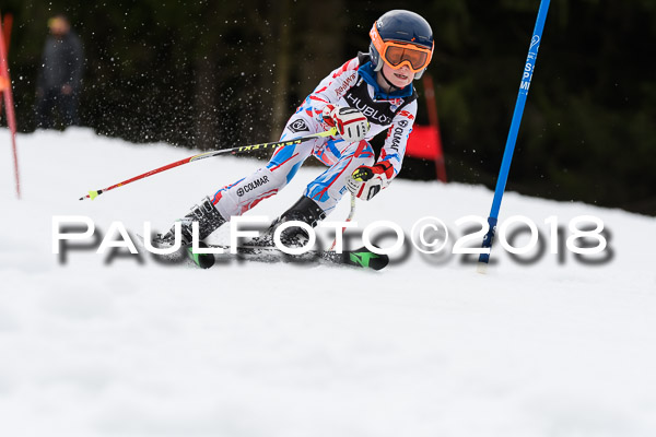 Schongauer Zwergerlrennen 28.01.2018