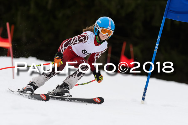 Schongauer Zwergerlrennen 28.01.2018