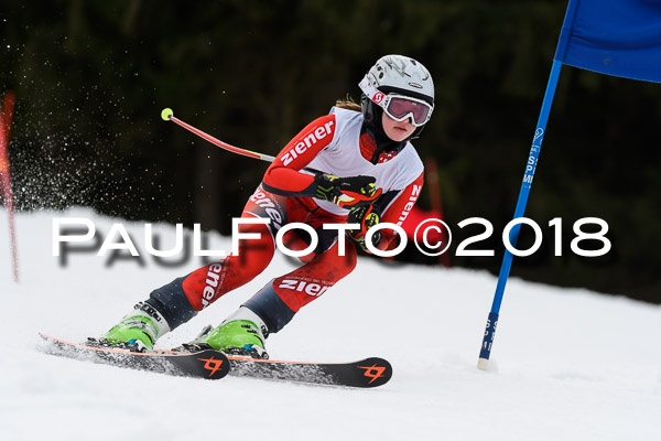 Schongauer Zwergerlrennen 28.01.2018