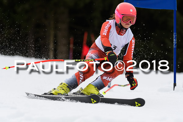 Schongauer Zwergerlrennen 28.01.2018