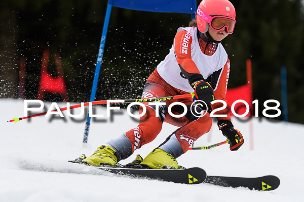 Schongauer Zwergerlrennen 28.01.2018