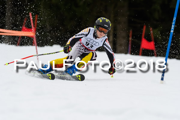 Schongauer Zwergerlrennen 28.01.2018