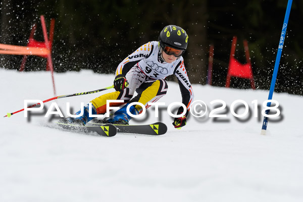 Schongauer Zwergerlrennen 28.01.2018