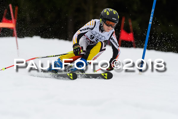 Schongauer Zwergerlrennen 28.01.2018