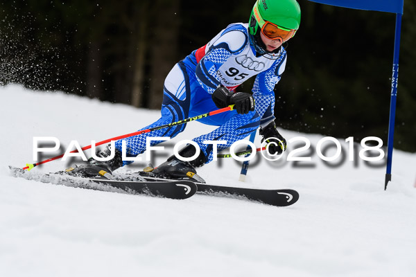 Schongauer Zwergerlrennen 28.01.2018