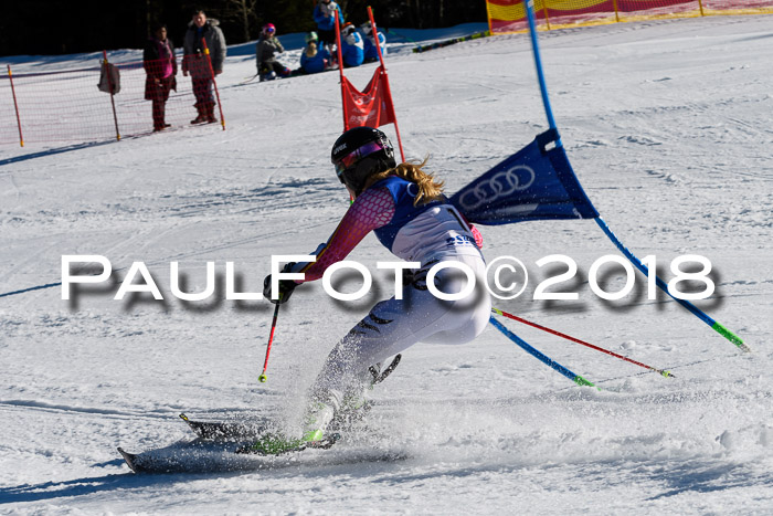 Bayerische Schülermeisterschaft Team PSL 29.01.2018