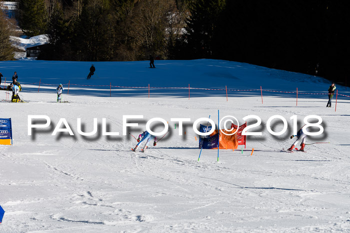 Bayerische Schülermeisterschaft Team PSL 29.01.2018