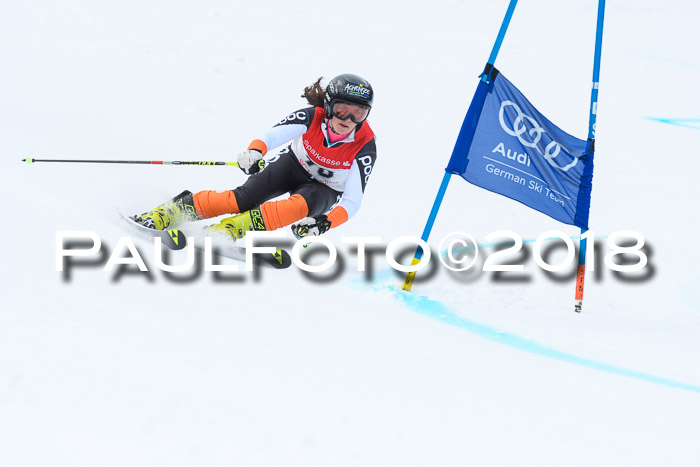 FIS RiesenslalomDamen Lenggries 2.2.2018