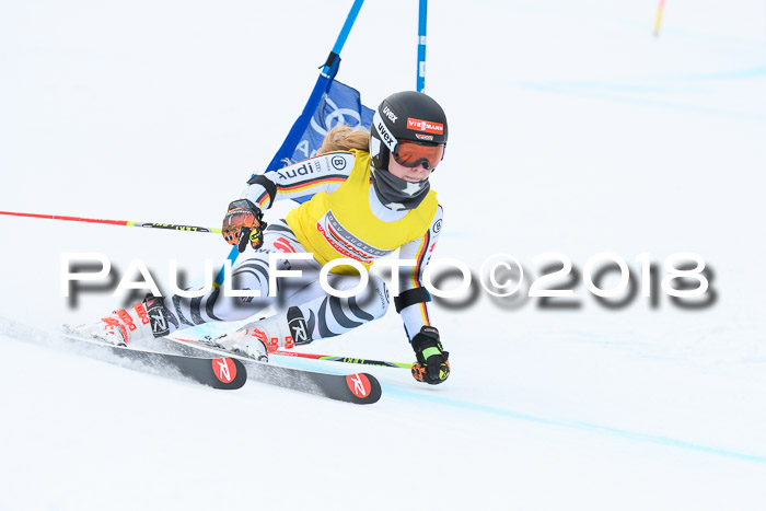 FIS RiesenslalomDamen Lenggries 2.2.2018