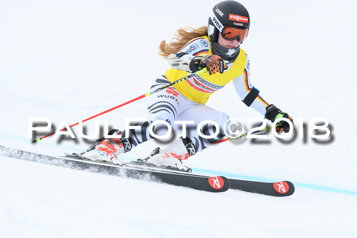 FIS RiesenslalomDamen Lenggries 2.2.2018