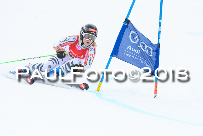 FIS RiesenslalomDamen Lenggries 2.2.2018