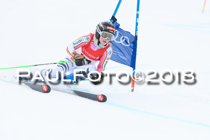 FIS RiesenslalomDamen Lenggries 2.2.2018