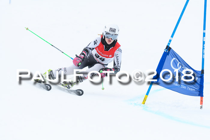 FIS RiesenslalomDamen Lenggries 2.2.2018