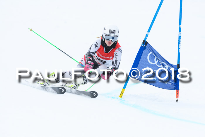 FIS RiesenslalomDamen Lenggries 2.2.2018