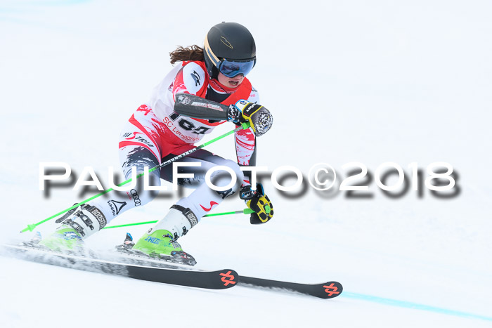 FIS RiesenslalomDamen Lenggries 2.2.2018