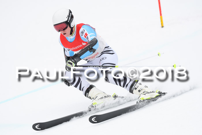 FIS NJR Riesenslalom Herren Lenggries 2.2.2018