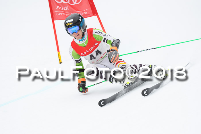 FIS NJR Riesenslalom Herren Lenggries 2.2.2018