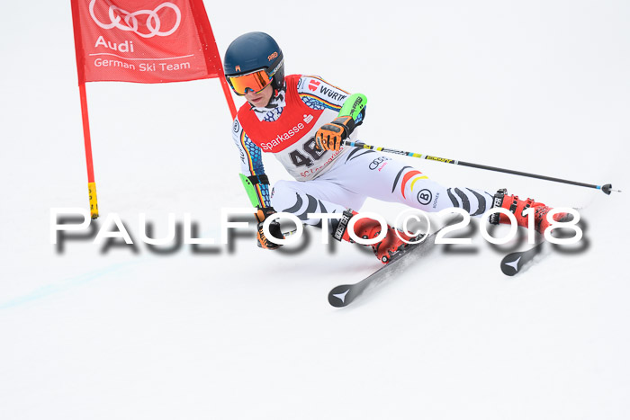 FIS NJR Riesenslalom Herren Lenggries 2.2.2018