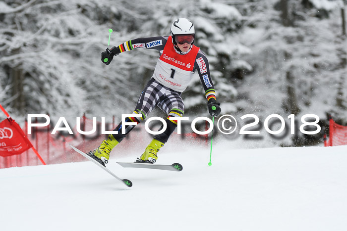 FIS NJR Riesenslalom Herren Lenggries 2.2.2018