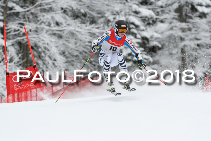 FIS NJR Riesenslalom Herren Lenggries 2.2.2018