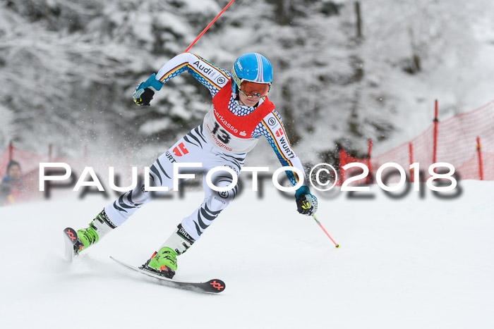 FIS NJR Riesenslalom Herren Lenggries 2.2.2018