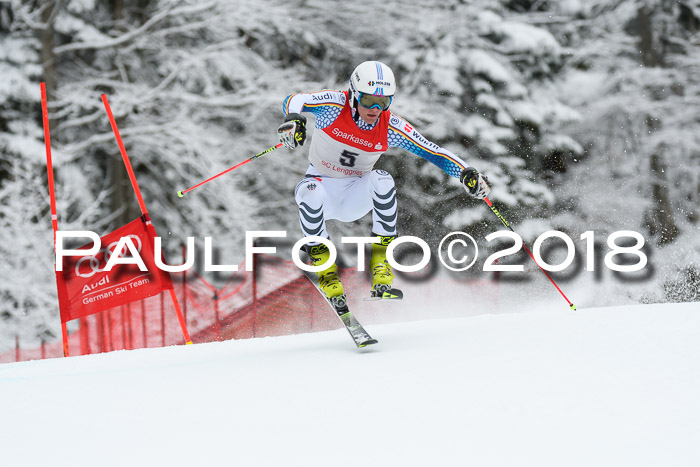 FIS NJR Riesenslalom Herren Lenggries 2.2.2018