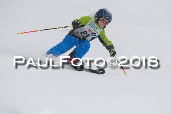 Münchner Skimeisterschaft 2018