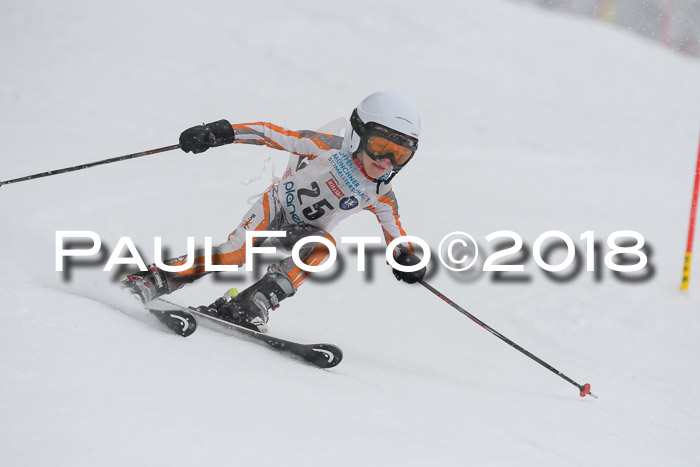 Münchner Skimeisterschaft 2018