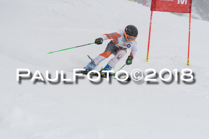 Münchner Skimeisterschaft 2018