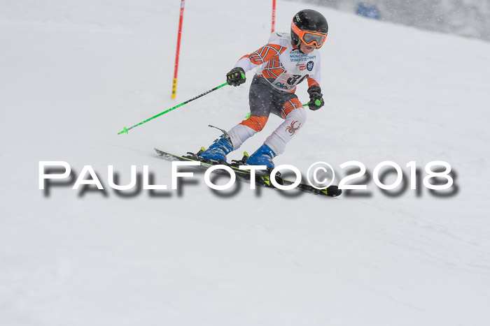 Münchner Skimeisterschaft 2018