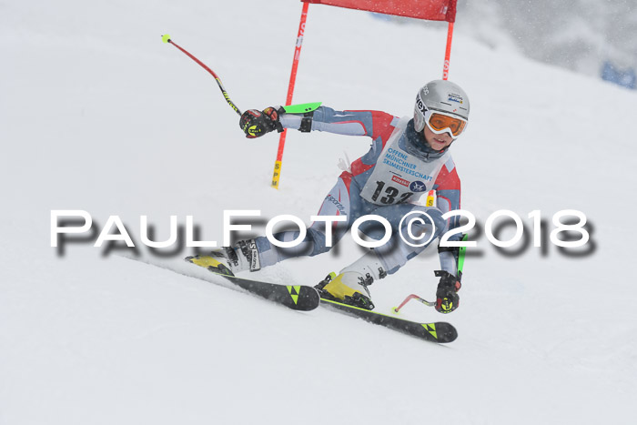 Münchner Skimeisterschaft 2018