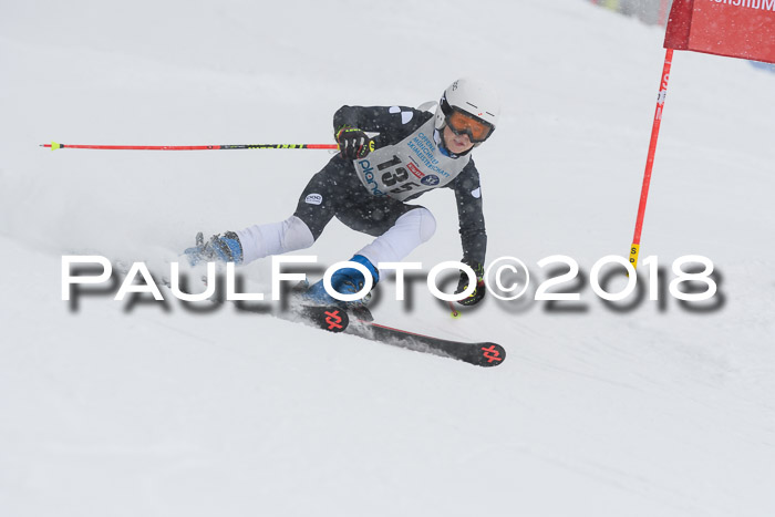 Münchner Skimeisterschaft 2018