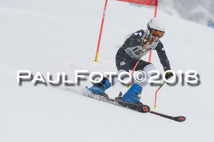 Münchner Skimeisterschaft 2018