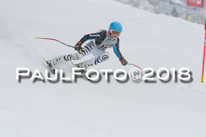 Münchner Skimeisterschaft 2018