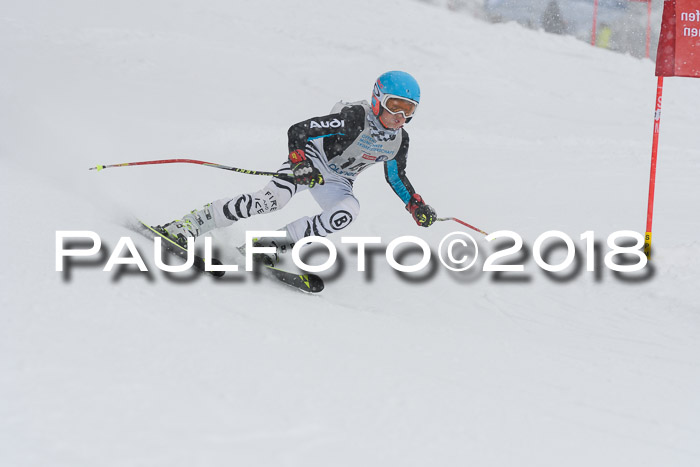 Münchner Skimeisterschaft 2018