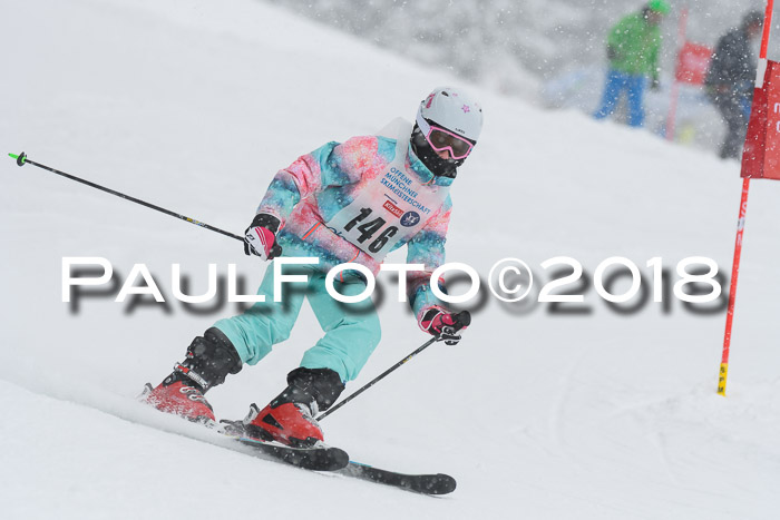 Münchner Skimeisterschaft 2018