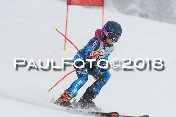 Münchner Skimeisterschaft 2018