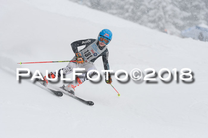 Münchner Skimeisterschaft 2018